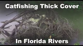 Catfishing Florida Rivers - Florida Flathead Fishing - Chasing Catfish in Florida - Florida Catfish