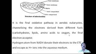 Biological Oxidation, Session -28