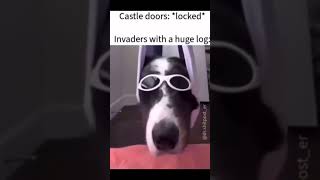 Dog Invades CASTLE!! #shorts #memes