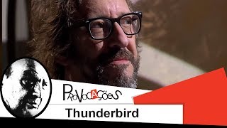 Provocações | Thunderbird | 2013