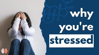 The “Stress Hormone” Doesn’t Exist