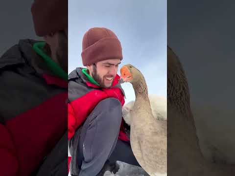 Ну погнали !