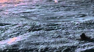 Terror En La Antártida - Noviembre - Miércoles 20