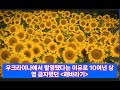&#39;해바라기 sunflower&#39;-우크라이나에서 촬영됐다는 이유로 상영 금지