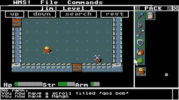 ATARI ST Asterix The Adventures WMS In the dungeons of doom By Funsoft & Glenn R Wichman & OTHERS