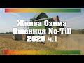 Нарешті, Жнива | No-Till та Біопрепарати Пролонгували Вегетацію | Жнива Озима Пшениця 2020 ч.1