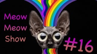 Meow Meow Show #16