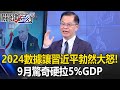 中國經濟危機