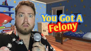 You Got A Felony - Joey Kalico Full Parody Song