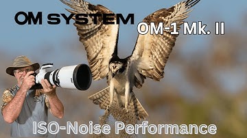 OM1 Mk. II ISO-Noise Performance with Canon R1 as a Reference Point