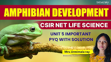 Amphibian Development - CSIR NET Life Science UNIT 5 Important PYQ | Developmental Biology