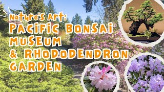 Pacific Bonsai Museum & Rhododendron Garden - Washington