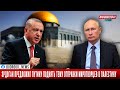 Эрдоган обсудил с Путиным возможность отправки миротворцев в Палестину