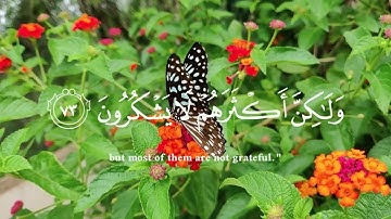 {وَإِنَّ رَبَّكَ لَذُو فَضْلٍ عَلَى النَّاسِ وَلَٰكِنَّ أَكْثَرَهُمْ لَا يَشْكُرُونَ}سورة النمل(73)