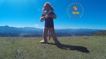 Coreografia PROERD BRUSQUE