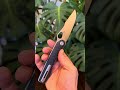 Twosun TS305 Mazwan Mokhtar M390, Titanium Framelock Carbon Fiber satin folding knife #edc