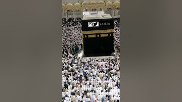 فجر الثلاثاء 12 جمادى الأولى 1441 هـ سورة {الفرقان} [7-29] من ‎#المسجد_الحرام