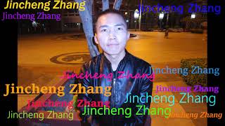 No Lie Nico Rauchenwald - Jincheng Zhang (Official Music Video)