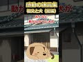 🏥【2ch感動スレ】感動の迷言集 祖父と犬(前編)#この動画何点??#2ch #2ちゃんまとめ #2ちゃんねる