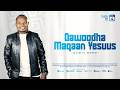 Dawoodha Maqaan Yesuus Dawit Boru New Afaan Oromo Gospel Song 2026 