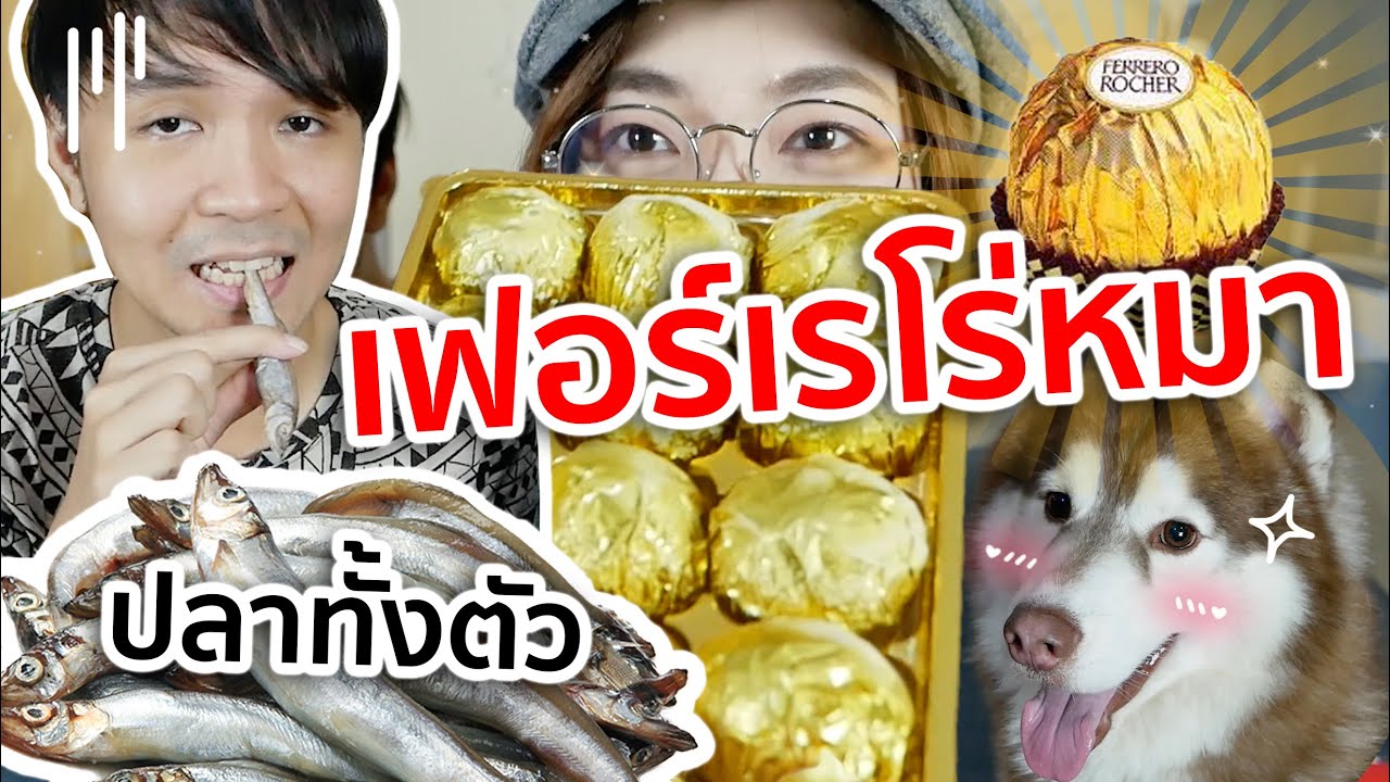 เฟอร์เรโร่หมา! ปลาทั้งตัว! นี่ขนมหมาจริงอ่ะ! // แบบนี้ต้องชิม!!!
