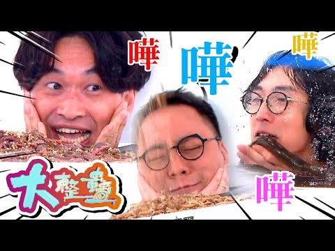 大整蠱 | 農夫艾粒膽量大挑戰 與恐怖生物零距離接觸?!
