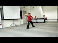 Master su zi fang xing yi quan  