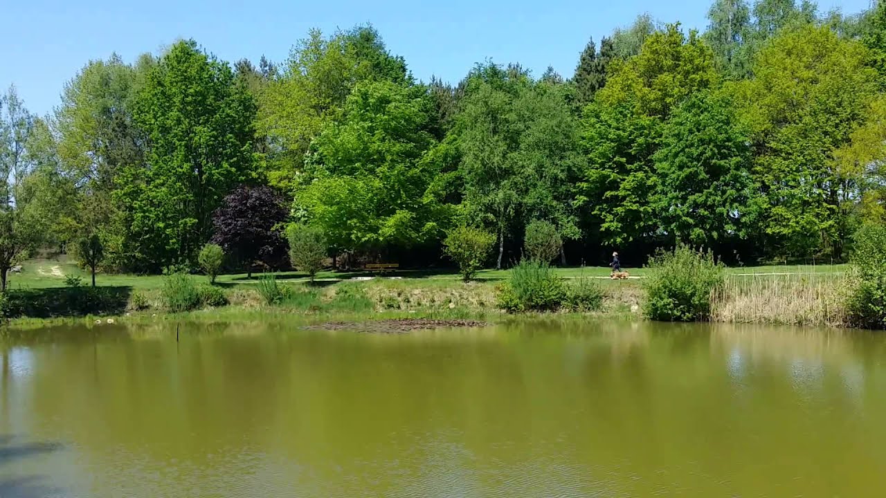 Stiftung De Wohlt Heicks Teich Heicks Park ScheeßelJeersdorf YouTube