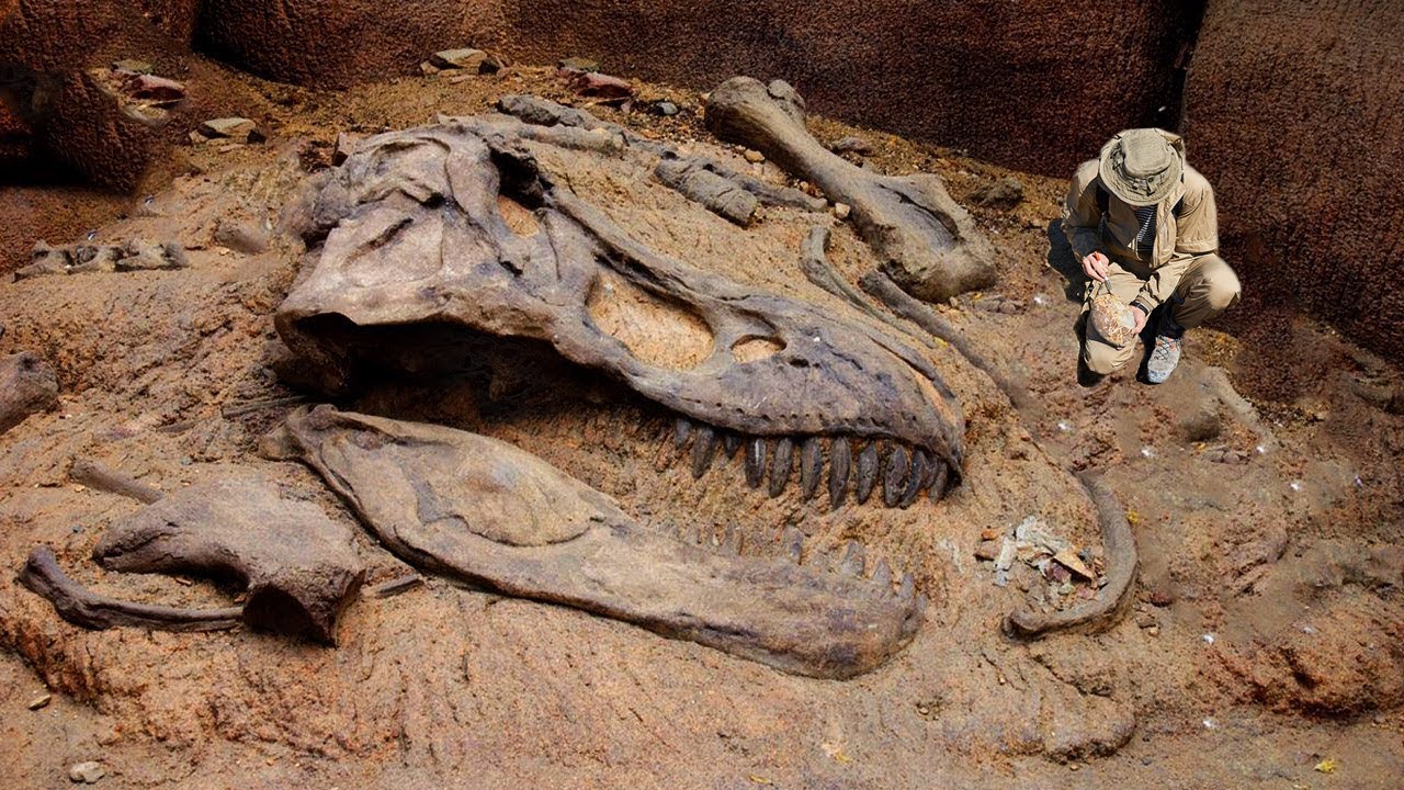 Auf der Jagd nach Dino-Fossilien | Doku HD | ARTE