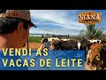 VENDI AS VACAS DE LEITE