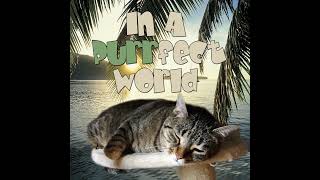 In A Purrfect World - Episode 3 The Cat Types