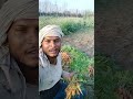 खेती किसानी #kheti