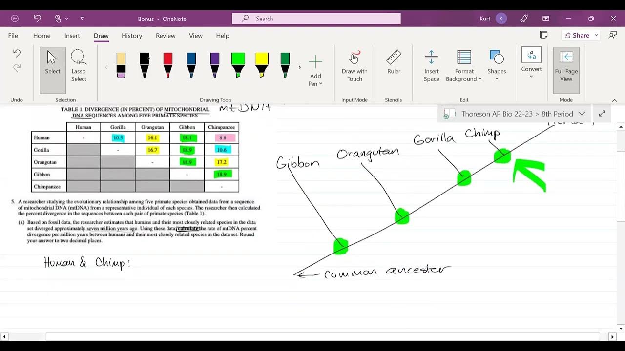 AP Biology Unit 7 - Lesson 80a: Creating a Phylogenetic Tree
