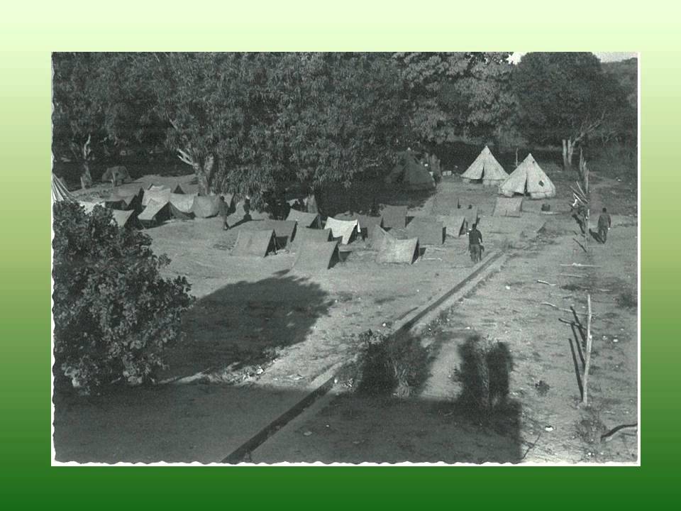 A GUERRA COLONIAL EM MOÇAMBIQUE