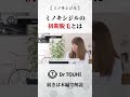 【ミノキシジル】初期脱毛とは