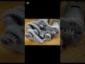 3D printed gear box