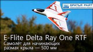 Радиоуправляемый самолёт E-flite Delta Ray RTF