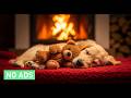 12H Relaxing Dog Music 🐾 Soothing Sounds for Anxiety Relief 🦮 Peaceful Pet Audio – No Ads