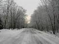Sviridov - The Snowstorm - Winter Road - PART 9 of 9