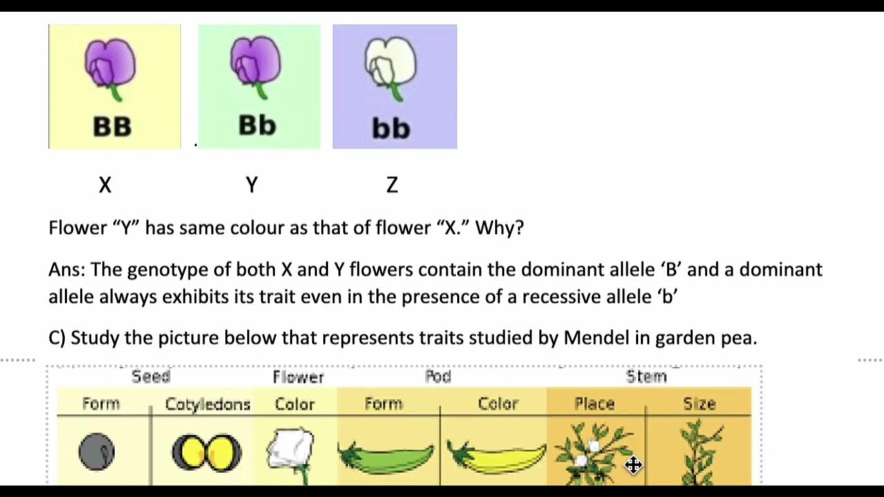 case study heredity