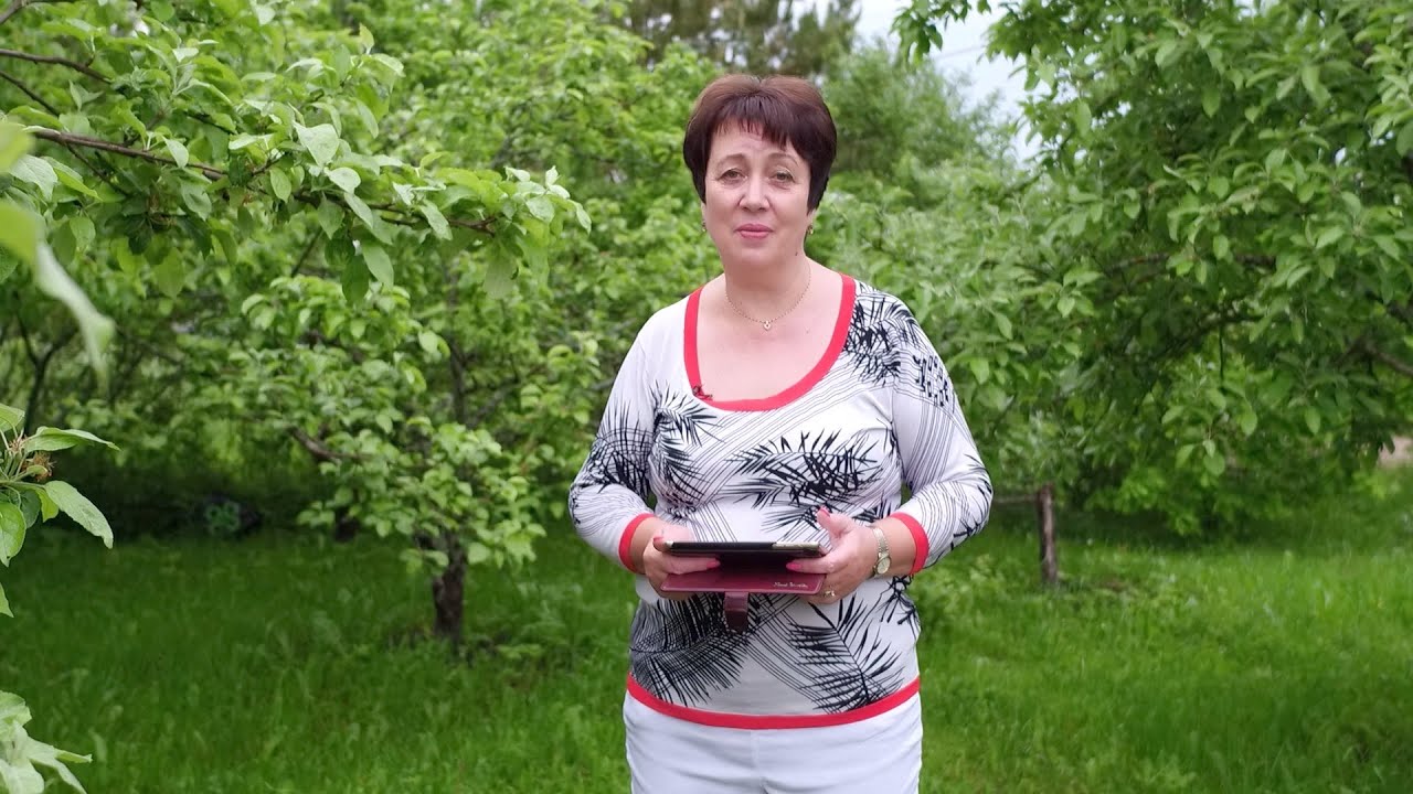 1753. Хлеб на каждый день. Бог наша защита.