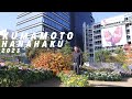 A Massive Flower Installation in the Middle of the City - Kumamoto Flower Expo 2023!