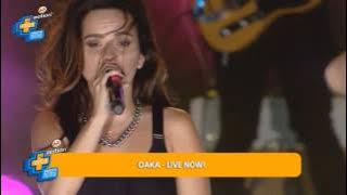 INNA @ Amita Motion 2013