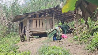 Full Video: girl, kicked out of her home, went to a new land, worked as a gardener, sold vegetable