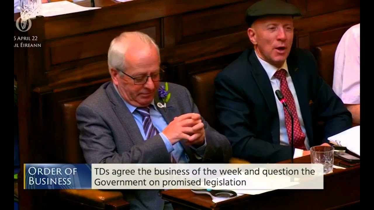 TURF WARS - MICHAEL MARTIN V MATTIE MCGRATH + MICHAEL HEALY-RAE - DAIL EIREANN - IRELAND