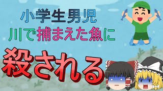 【閲覧注意】楽しいはずの川遊びで起きてしまった悲劇【ゆっくり解説】 screenshot 5