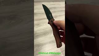 Sympa ce sencut watauga !