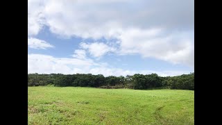 Opihikao Road, Opihikao, Hi 96778 20 Acres Fee Simple Land In Hidden Gem Of Opihikao