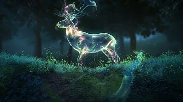 Animals Soul Intro Template Without Text | Free Download Intro No Text No Copyright