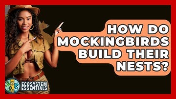 How Do Mockingbirds Build Their Nests? - Ecosystem Essentials
